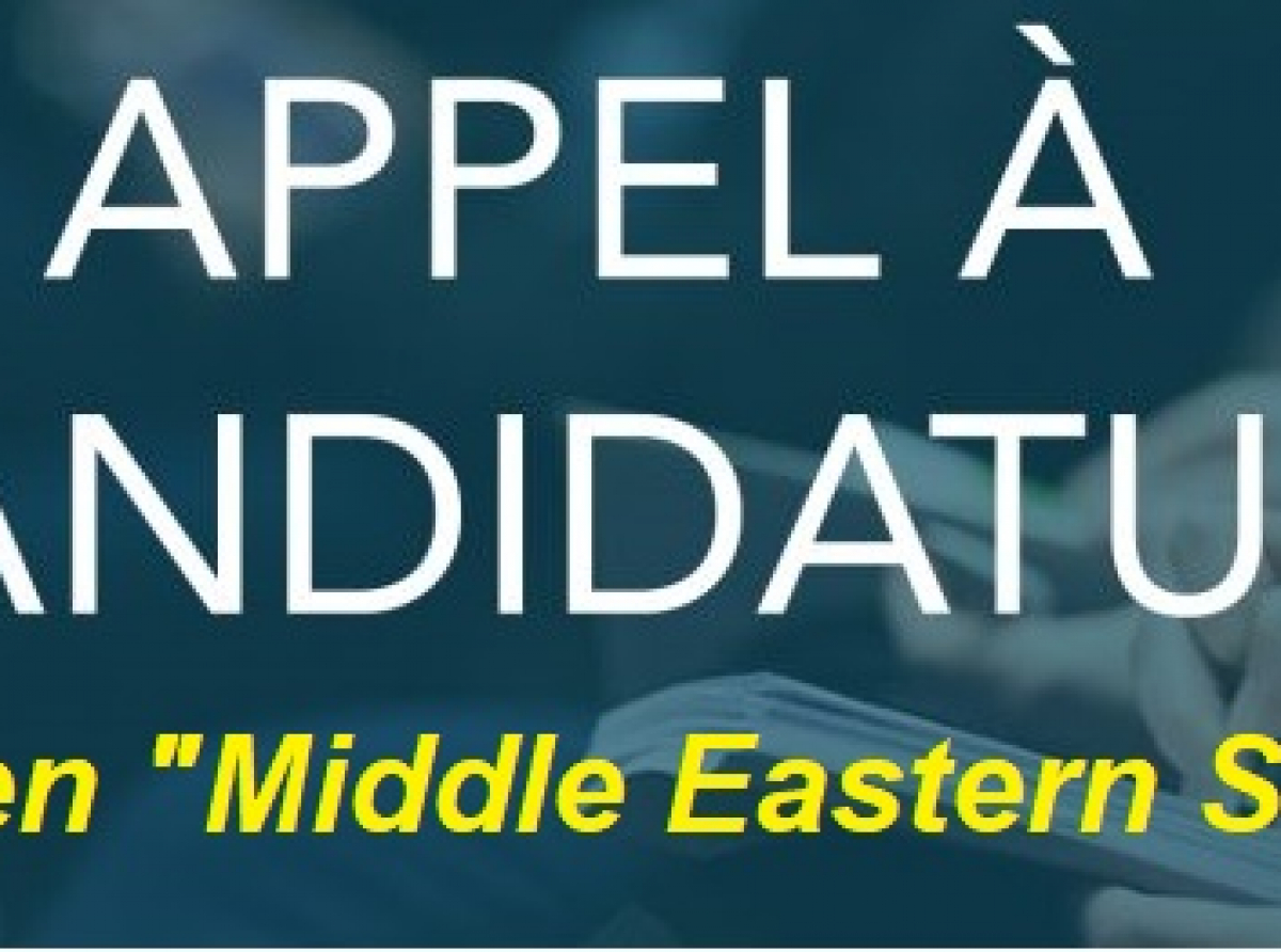 Appel à candidature à la bourse master in middle eastern studies « MIMES »